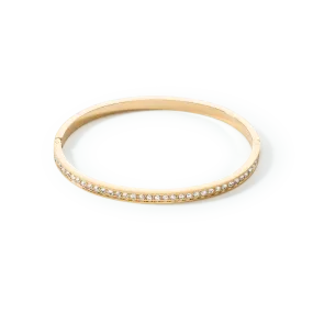 Bangle stainless steel & crystals slim gold crystal 17