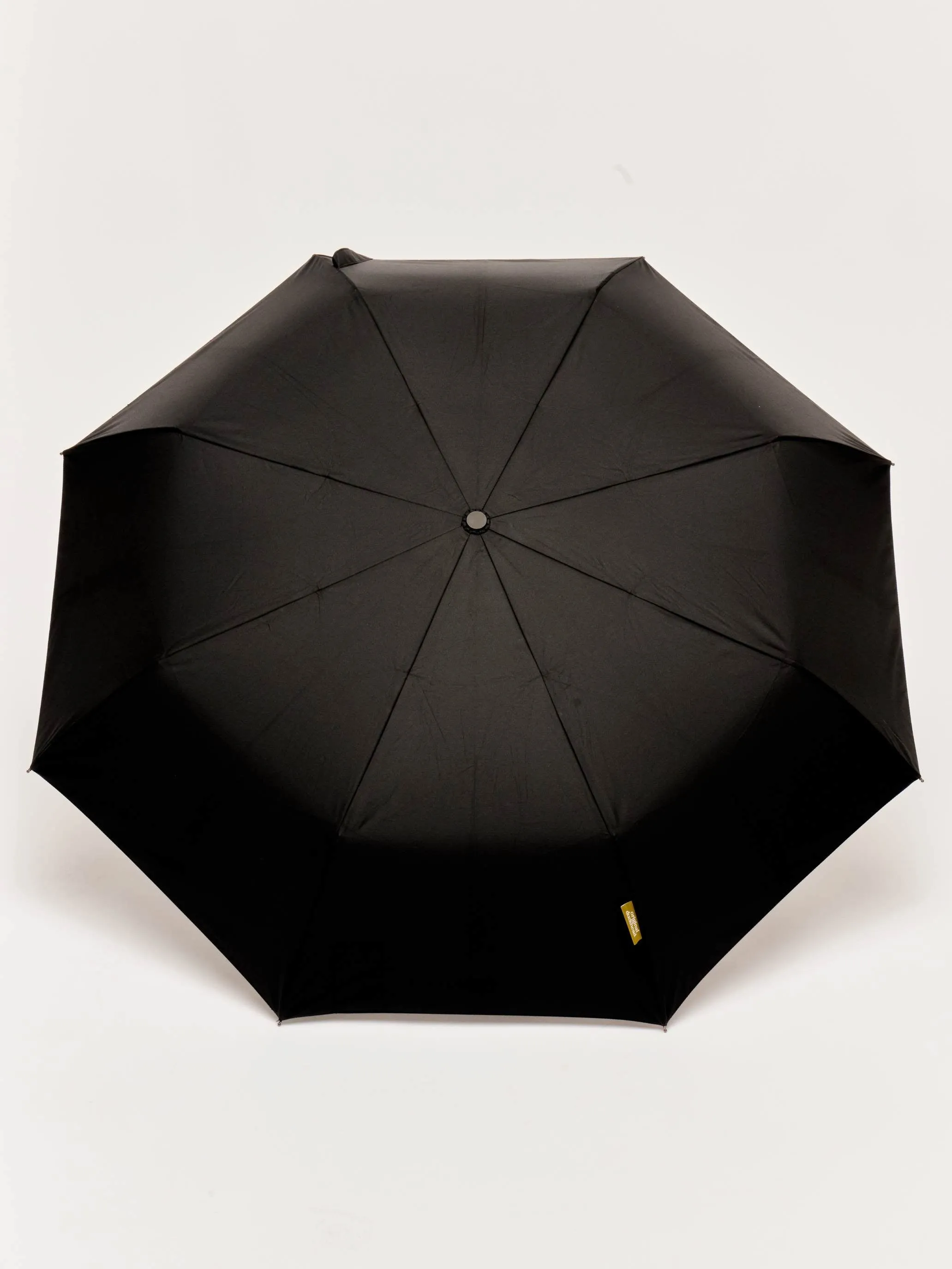 Black Daily Compact Umbrella with Automatic Open-Close Function