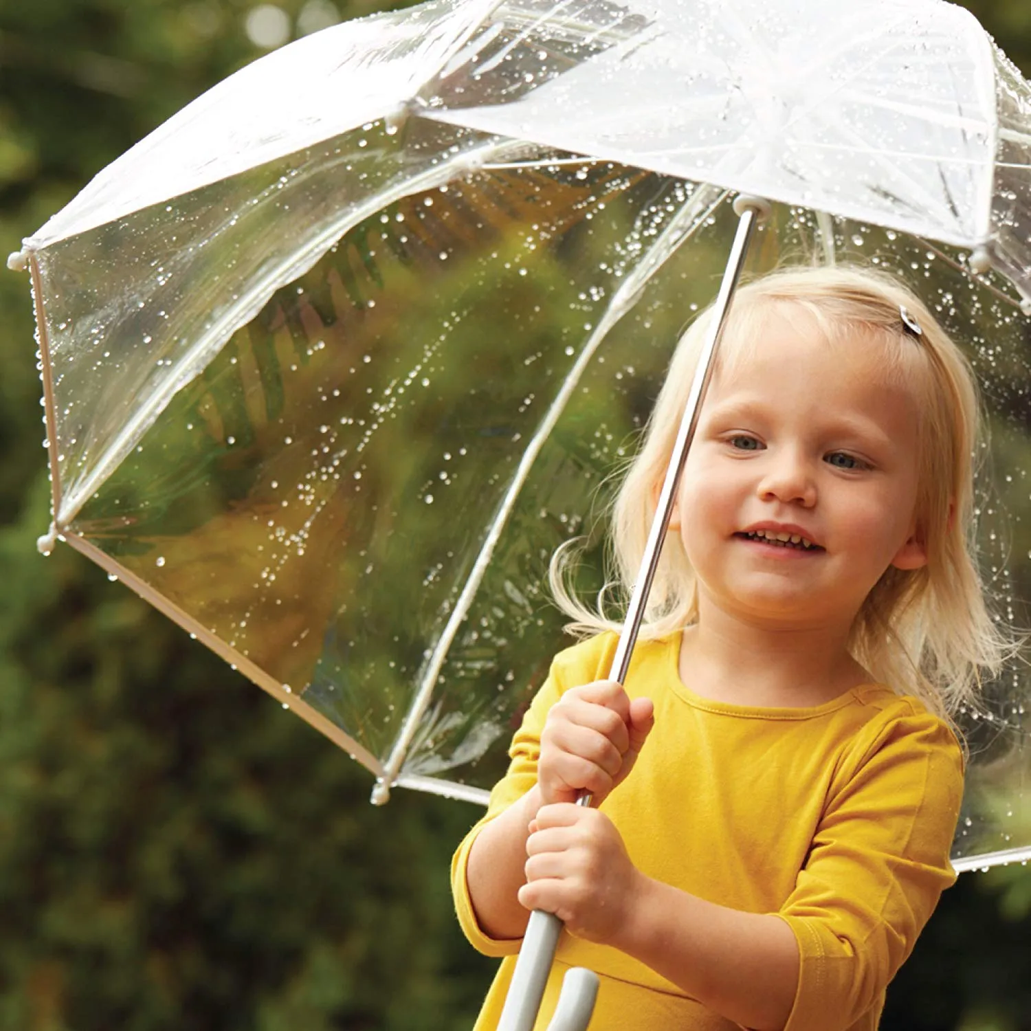 Crocox Clear Umbrellas Automatic Windproof Large Long Men Womens Dome Birdcage