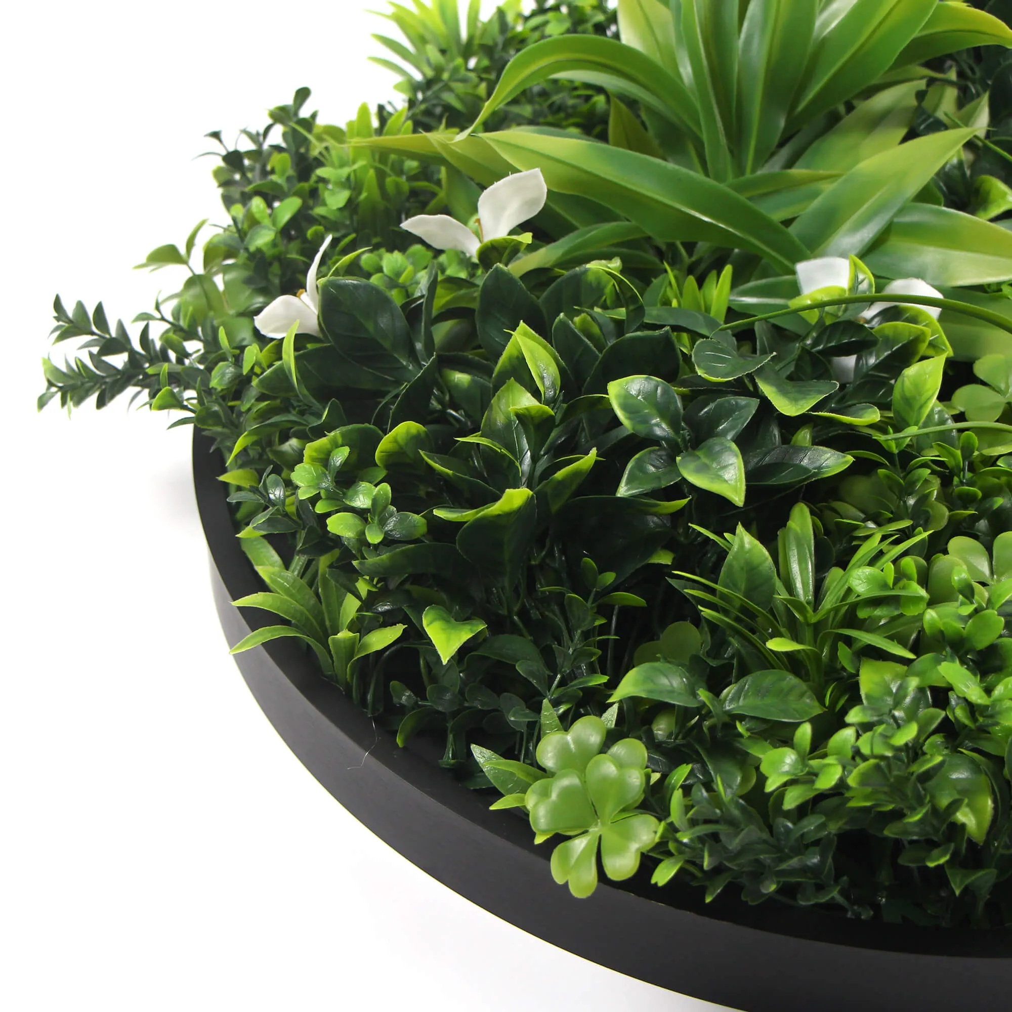 Flowering White Artificial Green Wall Disc UV Resistant 100cm (Black Frame)
