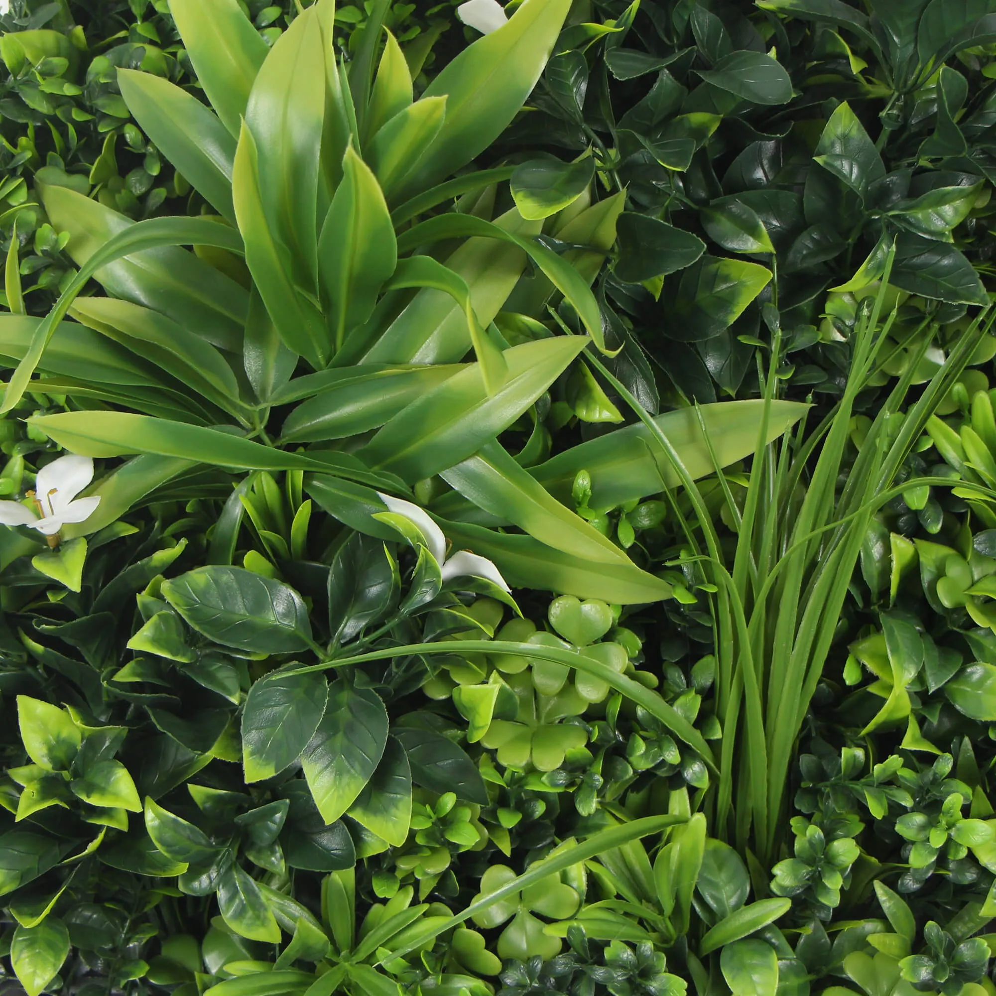 Flowering White Artificial Green Wall Disc UV Resistant 100cm (Black Frame)
