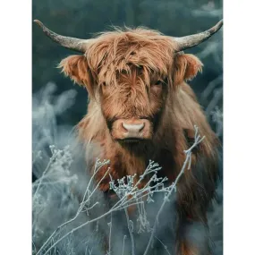 Highland Yak - Full Round Drill Diamond Painting 40*50CM