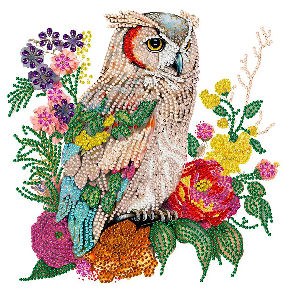 Owl -  Special Shaped Drill Diamond Painting 30*30CM