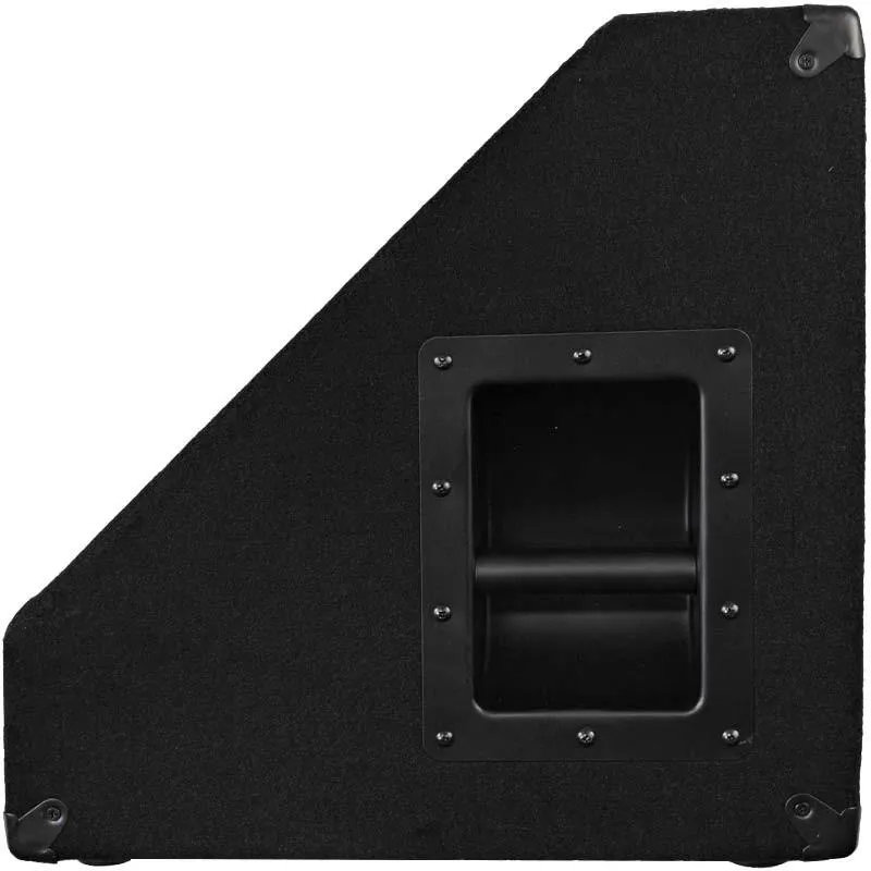 Pair of 15" Floor Monitors with Titanium Horns