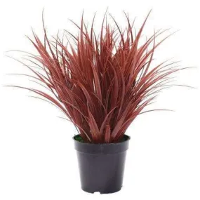 Potted Artificial Grass Burgundy Plant UV Resistant 38cm