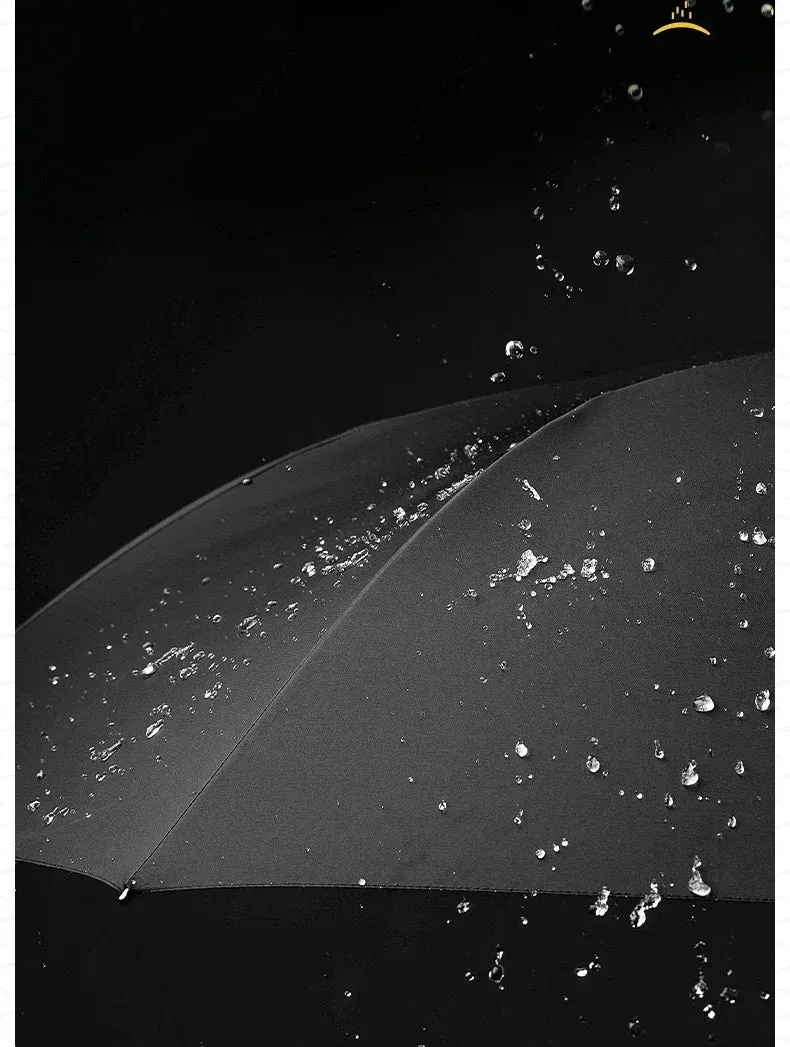 Reflective and Reversible Safety Umbrellas