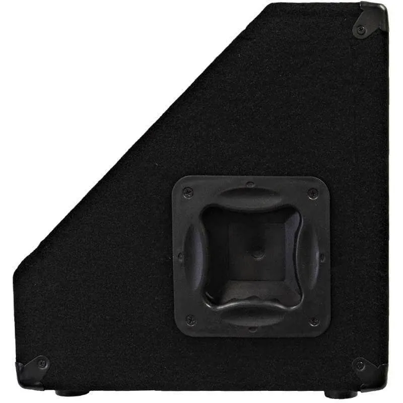 SA-10MX 10" Floor Monitor with Titanium Horn